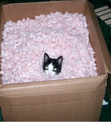 boxhide.jpg